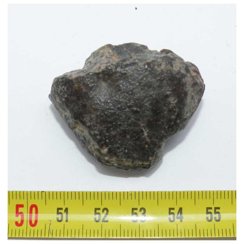 Meteorite NWA 869 ( 49.00 grammes - 032 )