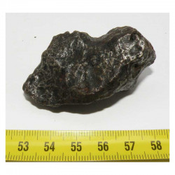 Meteorite Campo del Cielo ( 130 grs- 070 )