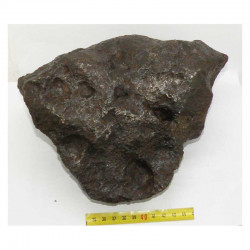 Meteorite Campo del Cielo ( 11.250 kilo - 071 )