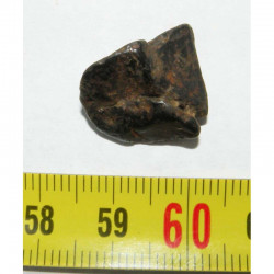 Meteorite Canyon Diablo ( 4.0 grs  )