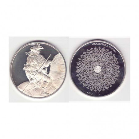 Medaille en argent Collection Leonard de Vinci ( 52 grammes - 046 )