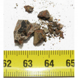 Lot de  Meteorite Brahin- Pallasite ( 2.00 grs - 004 )