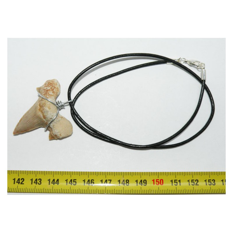 Collier pendentif  dent de requin fossile ( Lamna - 016 )