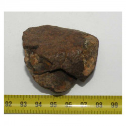 Meteorite Chondrite NWA non classée ( 75 grs - Abde )