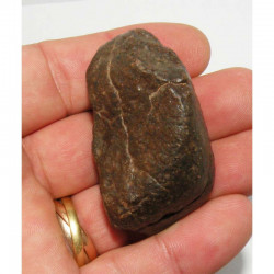 Meteorite Chondrite NWA non classée ( 75 grs - Abde )