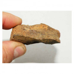 Meteorite Chondrite NWA non classée ( 105 grs )