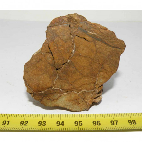 Talon de Meteorite NWA 4420 ( Achondrite - 190 grams - 036 )