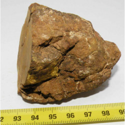 Talon de Meteorite NWA 4420 ( Achondrite - 190 grams - 036 )