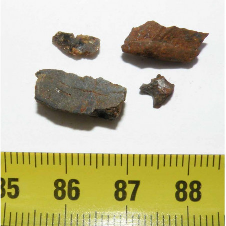 Meteorite Pallasovka - Pallasite ( 2.5 grs - 023 )