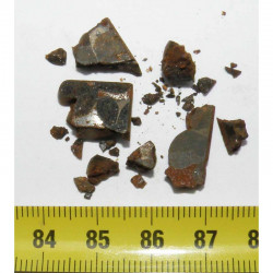 Lot de Meteorites Brenham- Pallasite ( 5.50 grs - 015 )
