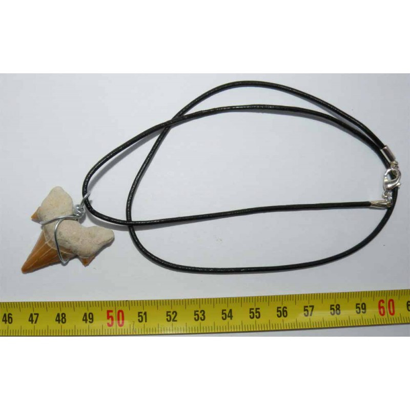 Collier pendentif dent de requin fossile ( 014 )