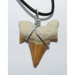 Collier pendentif dent de requin fossile ( 014 )