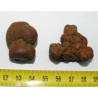 Lot de 2 Coprolithes de Dinosaure (  USA - Washington - 002 )