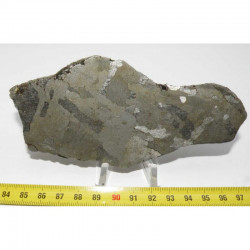 Tranche polis de Meteorite Campo del Cielo avec structures de Widmanstätten ( 260 grs - 015 )