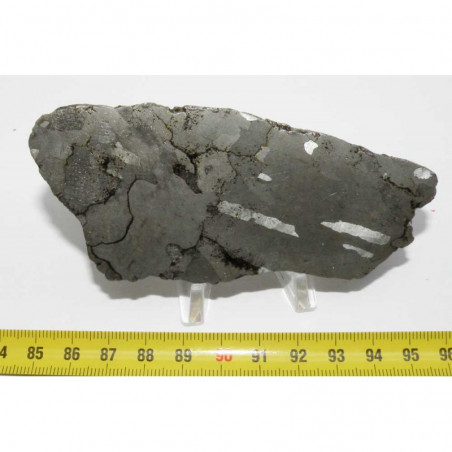 Tranche polis de Meteorite Campo del Cielo avec structures de Widmanstätten ( 97 grs - 014 )