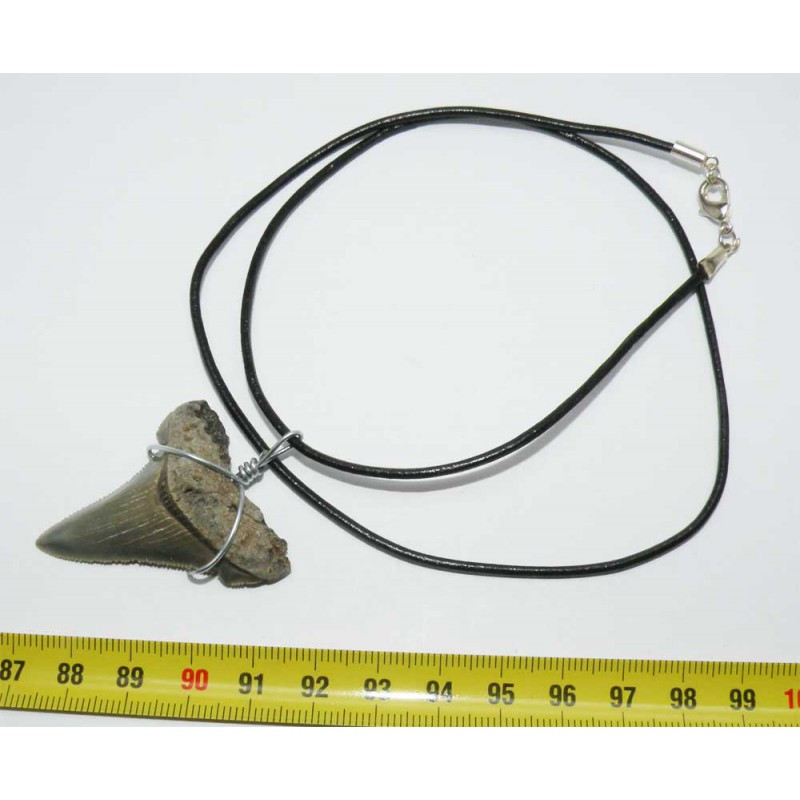 Collier pendentif  dent de requin fossile ( Meg - 056)