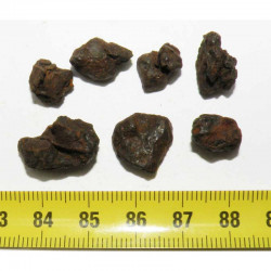 lot de météorites NWA 7920 Pallasite ( 10.00 grs - 009 )