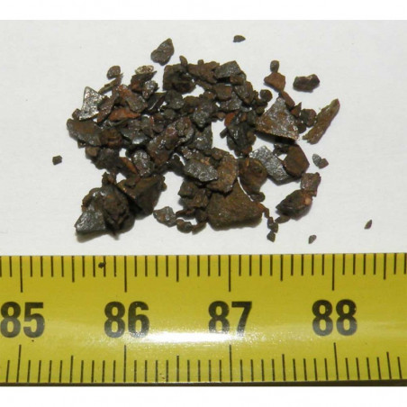 Lot de Meteorites Gibeon ( Octaédrite - 1.00 grs )