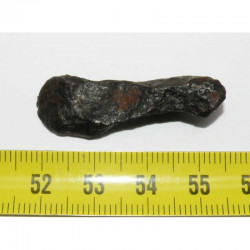 Meteorite Canyon Diablo ( 8.10 grs )