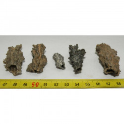 lot de 5 Fulgurites ( meteorite Tectite - 033 )