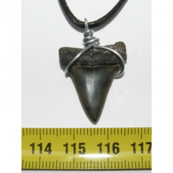 Collier pendentif dent de requin fossile ( Mako -  051 )