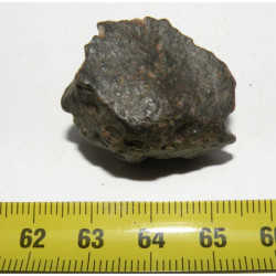 Meteorite NWA 869 ( 15.30 grammes - 041 )