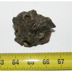 Meteorite NWA 869 ( 15.30 grammes - 041 )