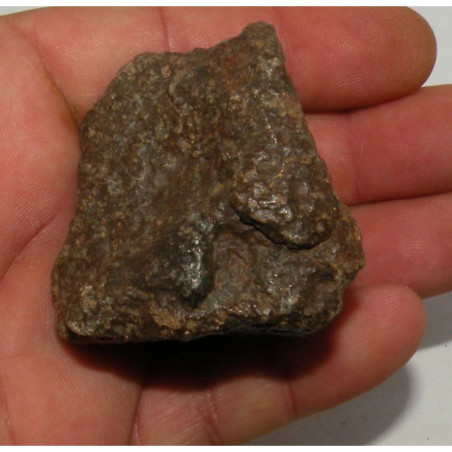 Meteorite Chondrite NWA non classée ( 160 grs - Abde 013 )