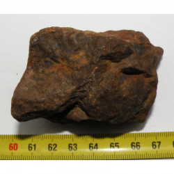 Meteorite Chondrite NWA non classée ( 202 grs - 171 )