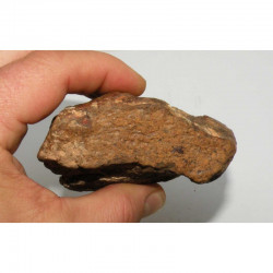 Meteorite Chondrite NWA non classée ( 490 grs - 044 )
