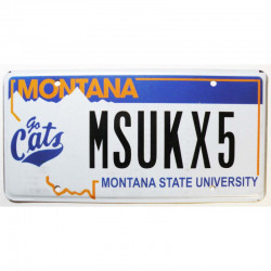 Plaque d Immatriculation USA - Montana  ( 1326 )