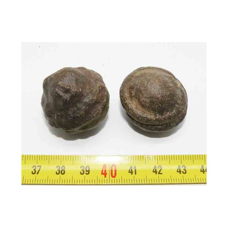 2 Moqui Marble, pierre des shamans ( 003 )