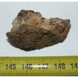 talon de Meteorite NWA 4420 ( Achondrite - 17 grammes - 043 )
