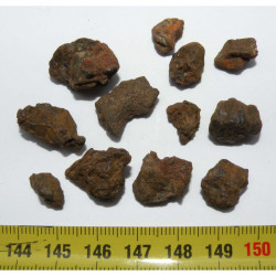 lot de météorites NWA 7920 Pallasite ( 10.00 grs - 011 )