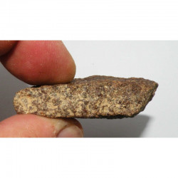 Meteorite Jiddat Al Harasis 055 ( JAH 055 - 44.00 grs -003 )