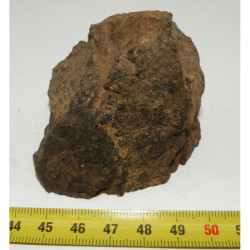talon de Meteorite NWA 4420 ( Achondrite - 177 grammes - 028 )