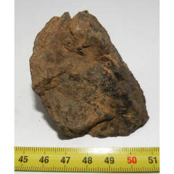 talon de Meteorite NWA 4420 ( Achondrite - 177 grammes - 028 )