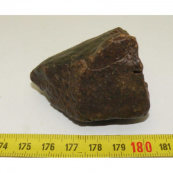 Chondrite NWA non classée ( 176 grammes - 188 )