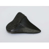 Dent de requin Carcharodon Carcharias ( USA - 3.9 centimètres - 201 )