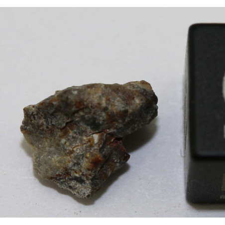 Fragment De Météorite Lunaire – Achondrite Feldspathique NWA, Avec Certificat