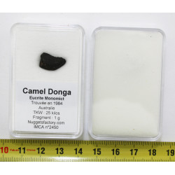 Fragment de Camel Donga -...
