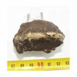 Meteorite Dhofar non classée ( 70.25 grs - 016 )