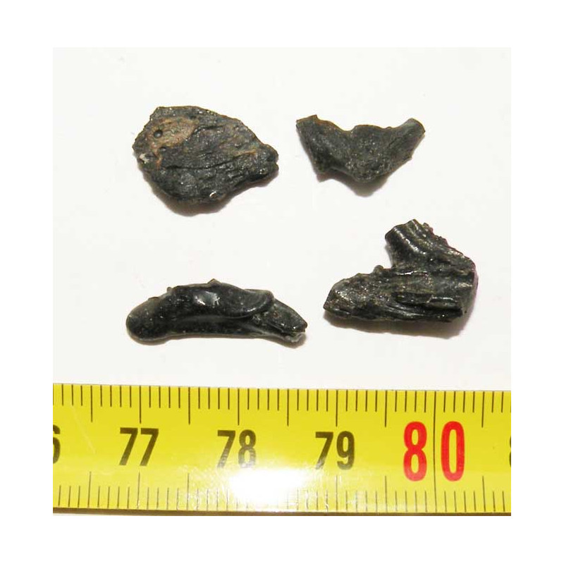 lot d Irghizite noire  ( météorite -Tectite - 2 grs - 026 )