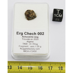 Météorite Erg Chech 002  -...
