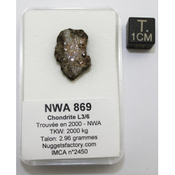 Talon de NWA 869 dans une...