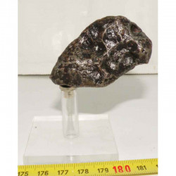 Meteorite Campo del Cielo ( 165 grs- 030 )