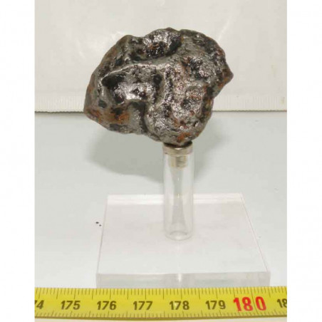 Meteorite Campo del Cielo ( 113 grs- 029 )