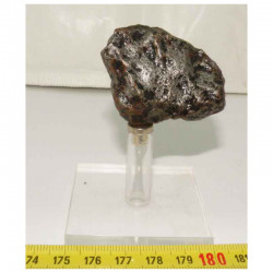 Meteorite Campo del Cielo ( 113 grs- 029 )