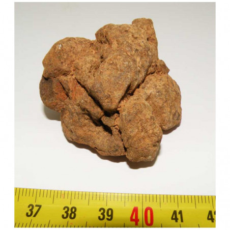 Meteorite NWA 4420 ( Achondrite - 72 grams - 017 )