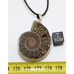 Collier avec 1/2 Ammonite...